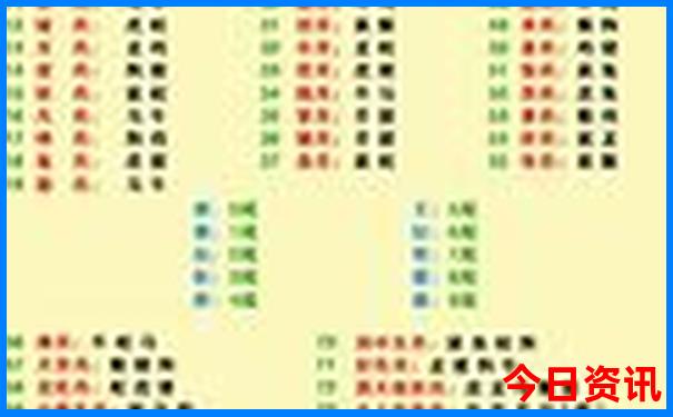 肉肖是指哪几个肖
